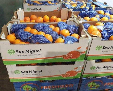 Don Fruta, S. L.