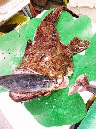 Pescadería Ángel García Las Rozas