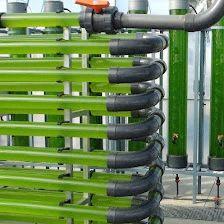 AlgaEnergy