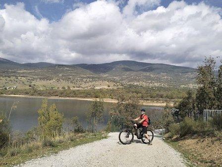 OttO eBikes