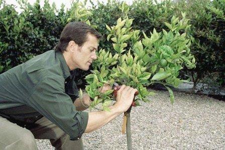 Jardinería Tecnihabitat
