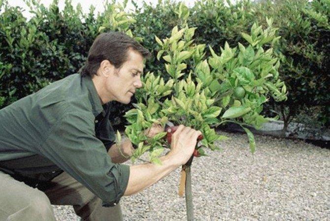 Jardinería Tecnihabitat