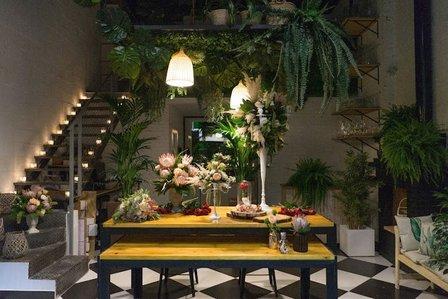 Tendencias Naturales Studio