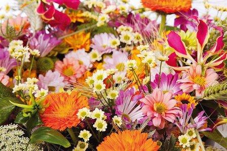 Floristería Martín Madrigal en Centro de Jardinería Illescas Garden