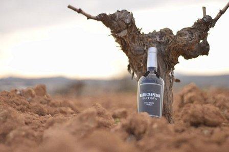 Bodega Mario Sampedro