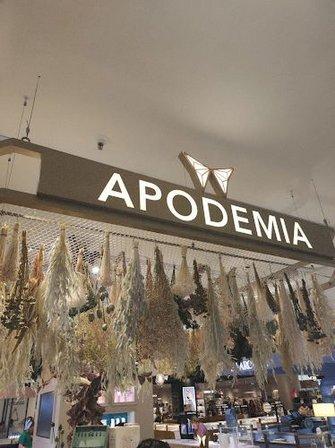 Joyería Apodemia