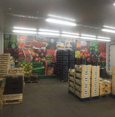 Frutas Bolado S L