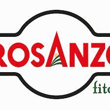 PROSANZCU, S.A.