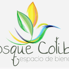 Bosque Colibrí