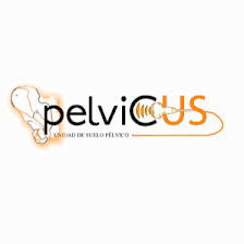 Pelvicus Fisioterapia