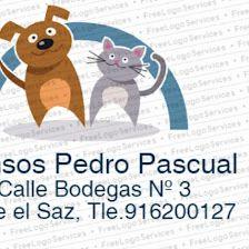 Piensos P. Pascual
