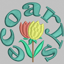 ECOARYS