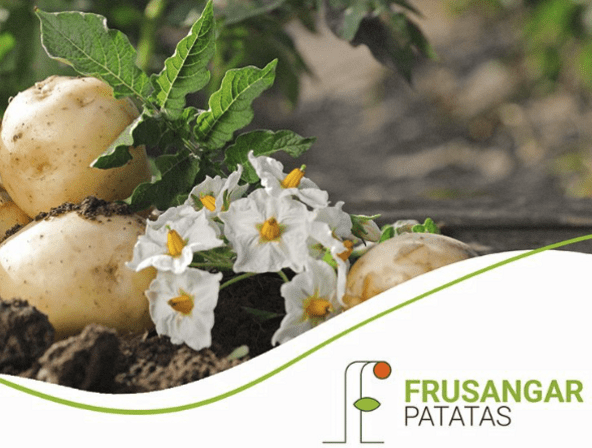 Patatas Frusangar