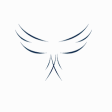 Carbray International