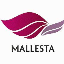 Mallesta Fisioterapia y Podología
