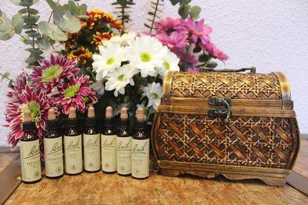 Centro Naturista Ailim | Salud natural, desarrollo personal y terapias naturales