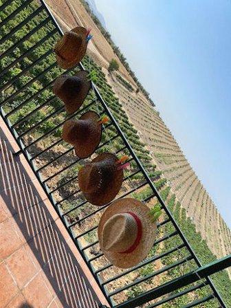Finca Valdelajara