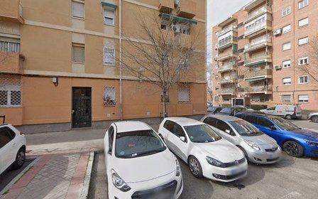 Consultores De Plagas Sánchez S L