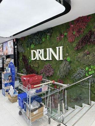 Druni