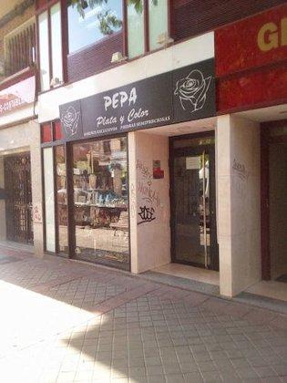 Pepa Plata y Color