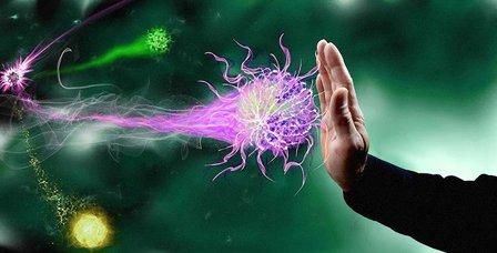 Pest Consulting | Control de Plagas