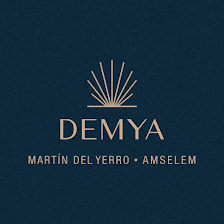 Martin del Yerro Plastic Surgeons