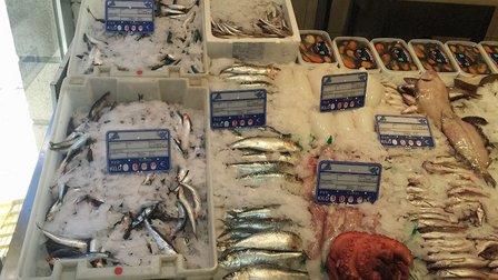 Pescaderia Sagrario Del Casar