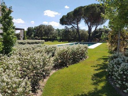 Avi Esmeralda Jardinería