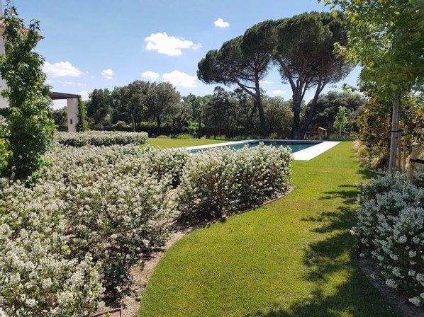Avi Esmeralda Jardinería