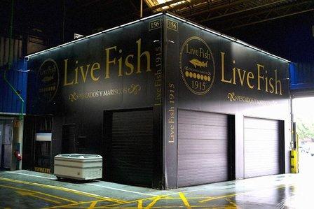 Live Fish 1915