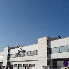 Sesaelec Madrid,S.A.