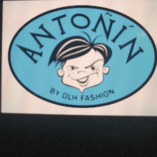 ANTOÑIN DLH S.L.