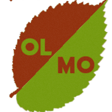 PAISAJISMO Y JARDINERÍA OLMO S.L.