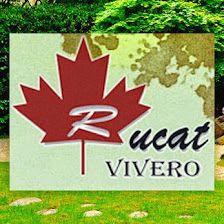 Viveros Rucat S.L.