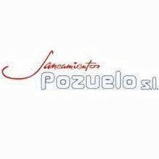SANEAMIENTOS POZUELO