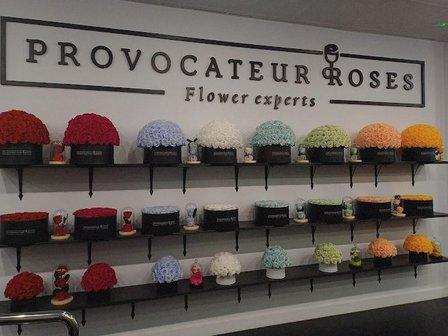Provocateur Roses