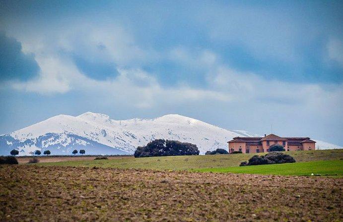 VITIVINÍCOLA ALANTERRA, S.L. VIÑEDOS DE AGEJAS.