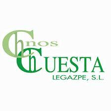 HERMANOS CUESTA LEGAZPE S.L.