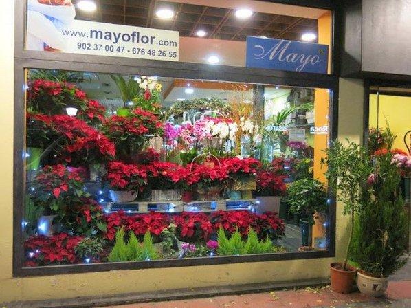 Floristería Mayoflor