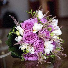 Floristería Las Dalias