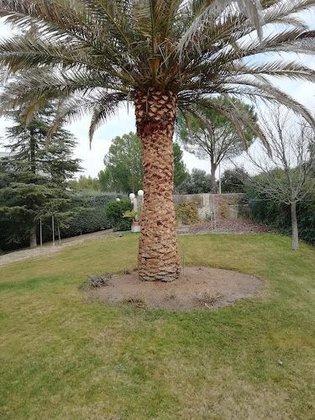 Jardinería Enrique Blázquez, S.L.