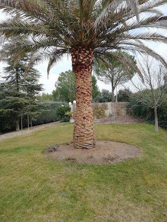 Jardinería Enrique Blázquez, S.L.