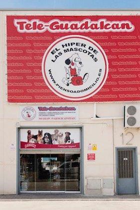 Teleguadalcan S.l.