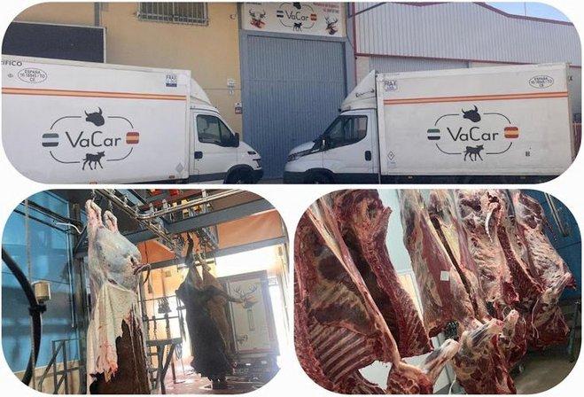 Carnes Y Ganados M.Vazquezsl