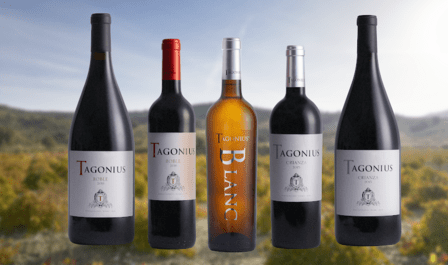 Bodegas Tagonius