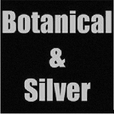 Botanical & Silver - Plata