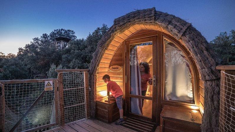 Cabañas en los árboles Monte Holiday Ecoturismo