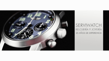 Serviwatch S.L.