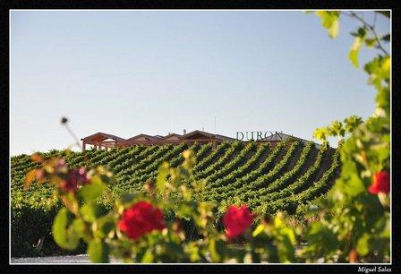 Bodegas Durón - Ribera del Duero