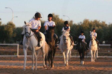 Layos Camp Oficina Madrid